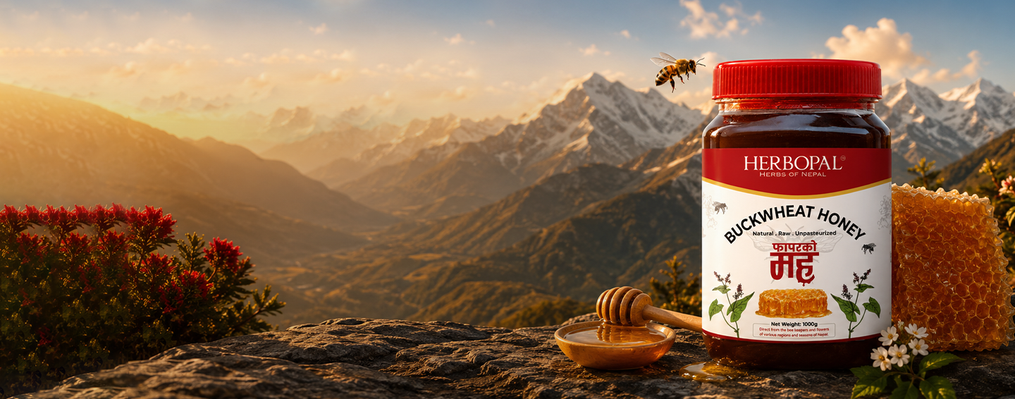 Harvested in the Himalayas, Crafted for the World