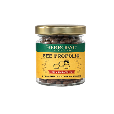 Bee Propolis