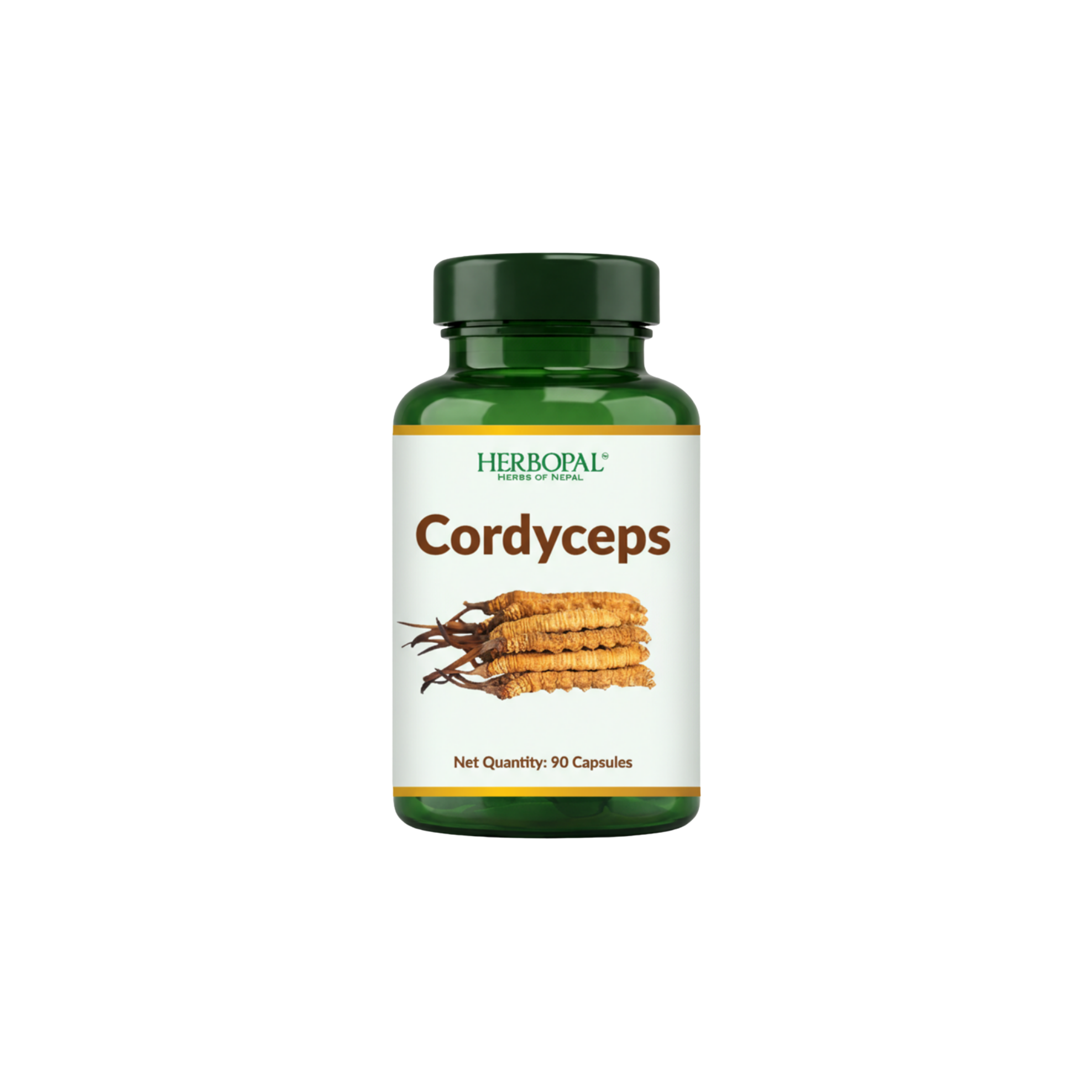 Cordyceps (CS-4 Extract)